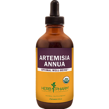 Artemisia Annua tincture [1-4 Oz]